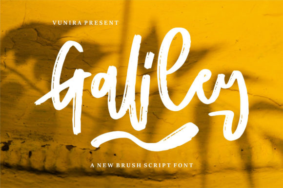 Galiley: Modern Script for Designers