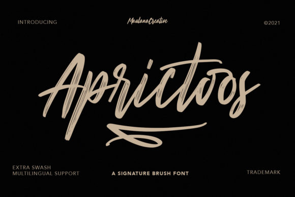 The Art of Digital Personality: Why Aprictoos is Redefining Modern Brand Identity
