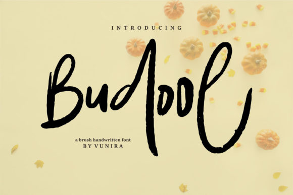 The Strategic Power of Authenticity: Elevating Brand Identity with the Budool Typeface